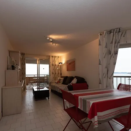 Apartment T2 Au Lavandou: 4 Pers, Face Mer, Terrasse, A 1 Min, Parking Prive - Fr-1-803-38 Le Lavandou